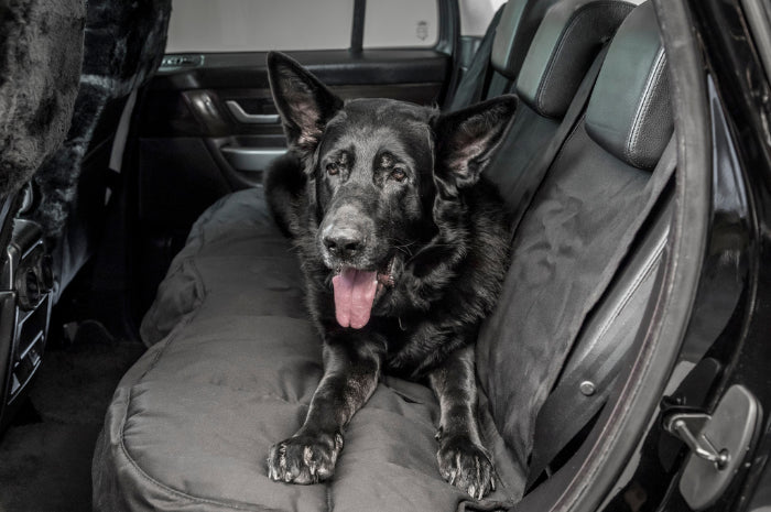 Why do I need a custom fit dog seat cover? - Beverly Hills Motoring  Accessories